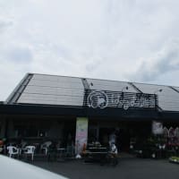 支援センター通信(^^♪　6月号