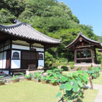 三室戸寺その１
