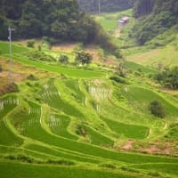 岡山県・久米南町の「上籾」