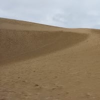 1月の鳥取砂丘