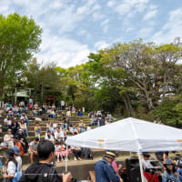 葉山芸術祭【森山神社】境内の会場は幸せな空間に包まれていました