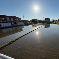 住宅地の周りにも水鏡が増えてきた