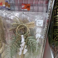 明日から、正月ですよ❗