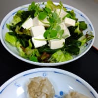 うちのごはん    焼売 と 豆腐サラダ(^.^)
