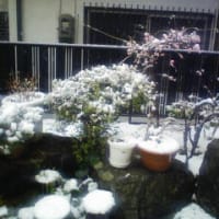 雪の日に、春夏物の展示会！