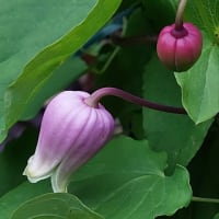 今日いち-2025年5月7日