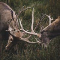 メンタルは基本的に弱いので喧嘩するとストレスを感じます