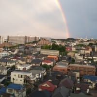 虹