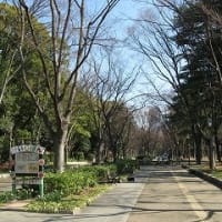 大阪市の靱公園