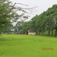 朝の散歩（2025/7/4）・・・姶良市加治木町春日公園方面