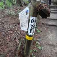 久し振りに金剛山に登った２