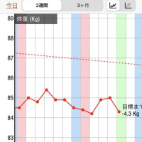 ダイエット停滞