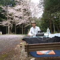 614.【山火事などでの火災保険の補償範囲】