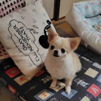また、また、またパウンドケーキを作りましたよ