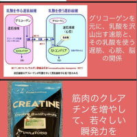 乳酸は運動時、脳の重要なエネルギーになるのをご存じ？