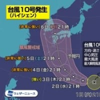 とんでもなく質の悪い台風がやってきそうです。