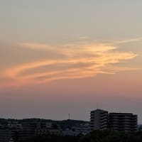 ２０２５・６・２９～７・１雲・アガパンサス・ムクゲ・１輪咲いたコオニユリ