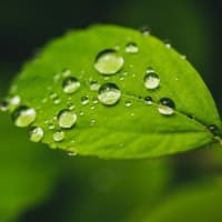 雨の日でもキャンプは楽しめる！楽しみ方や知っておきたい注意点を解説