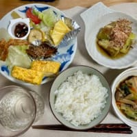 サボテンの花