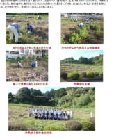 松江市立第2中学校　「さくらの森」下刈り作業しました