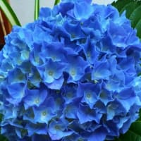 急性的 腰痛に注意！