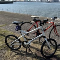 やっと咲いた！