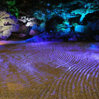 夜の庭園