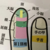若者に人気若年性認知症の予防“手“ストレッチ”Hand “Stretching to prevent early-onset dementia, popular among young people
