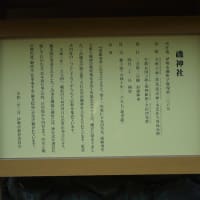 伊勢市「磯神社のつつじ」見てきました～(^^)  2025