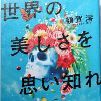 「世界の美しさを思い知れ」（額賀澪著；双葉社）を読んで