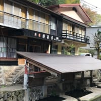 枝垂れ桜リレー