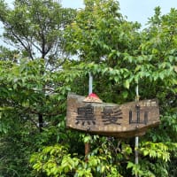 5月の登山
