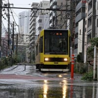 雨の朝