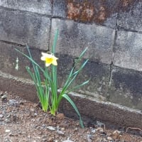 心くばり