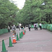 上野公園の様子（2021・5・10）