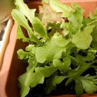 主人の具合