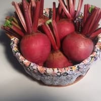 【料理研究家おすすめ】女性の美脚に最適なスーパーフード、美味しいビーツを使った料理の数々《セモリナファーム》