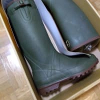 長靴を更新