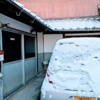 丹波篠山、今朝の雪
