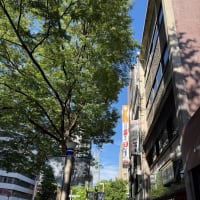 2025年春？初夏？の芸術鑑賞_後の友飲み。