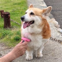 少し落ち着いた？