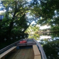 新車の初乗りは水郷柳川へ。調子に乗ってどんこ舟で巡ってみた。