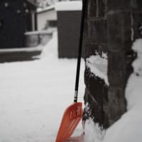 唐突に冬がやってきた。