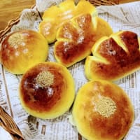 盛りだくさん