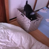 ロト6