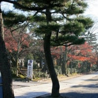 06/30奈良京都への旅-18（京都：建仁寺の紅葉、）