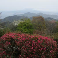 伊豆パノラマパーク・・・標高４５２メートルの葛城山山頂の展望台からの富士山は残念ながら・・・