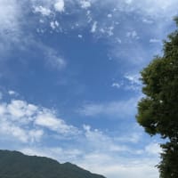 梅雨入り前に