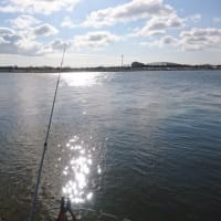 2017年釣り初め！石狩川河口でカワガレイ！