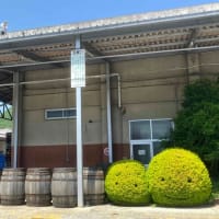 今年もﾜｲﾝ祭り